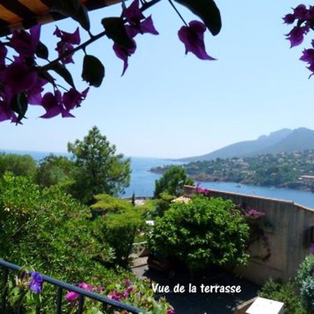 Apartmán Studio A Theoule Sur Mer A 400 M De La Plage Avec Vue Sur La Mer Terrasse Amenagee Et Wifi Exteriér fotografie